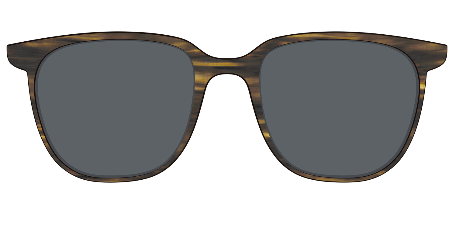 The Polarized Horn Sun Top - Front Top Image - Pair Eyewear