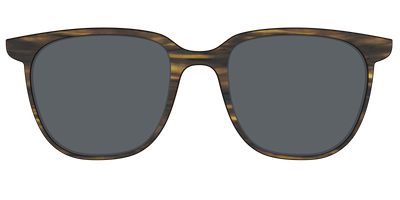 The Polarized Horn Sun Top - Front Top Thumbnail - Pair Eyewear