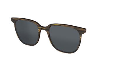 The Polarized Horn Sun Top - Angle Top Thumbnail - Pair Eyewear