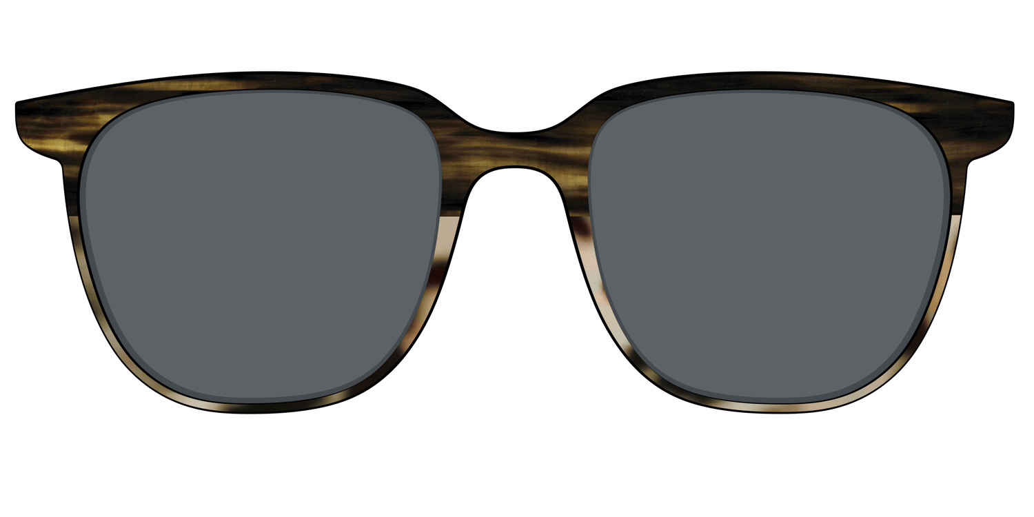 The Polarized Horn Tortoise Sun Top - Front Top Image - Pair Eyewear