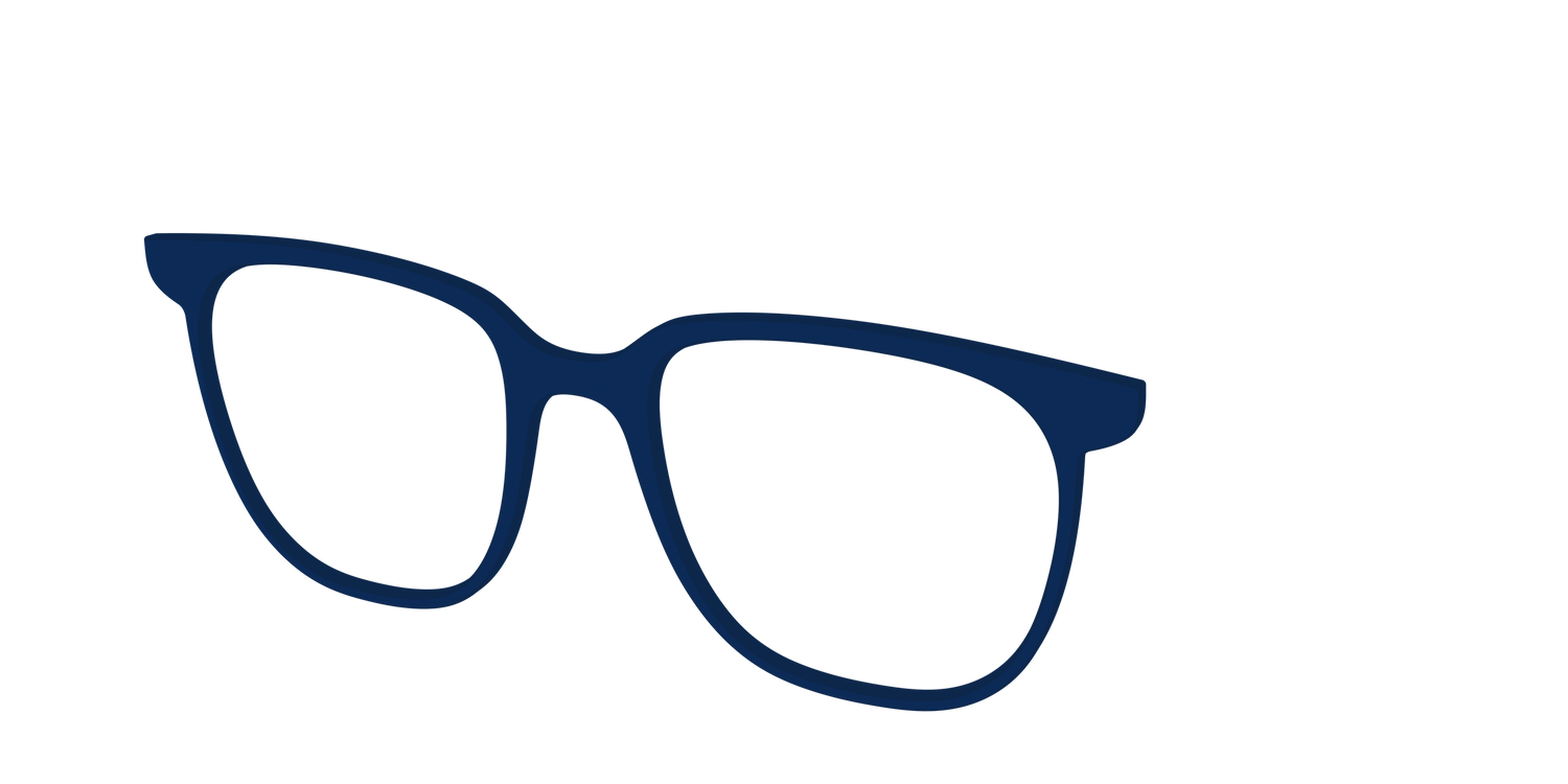 The Navy - Angle Top Image - Pair Eyewear