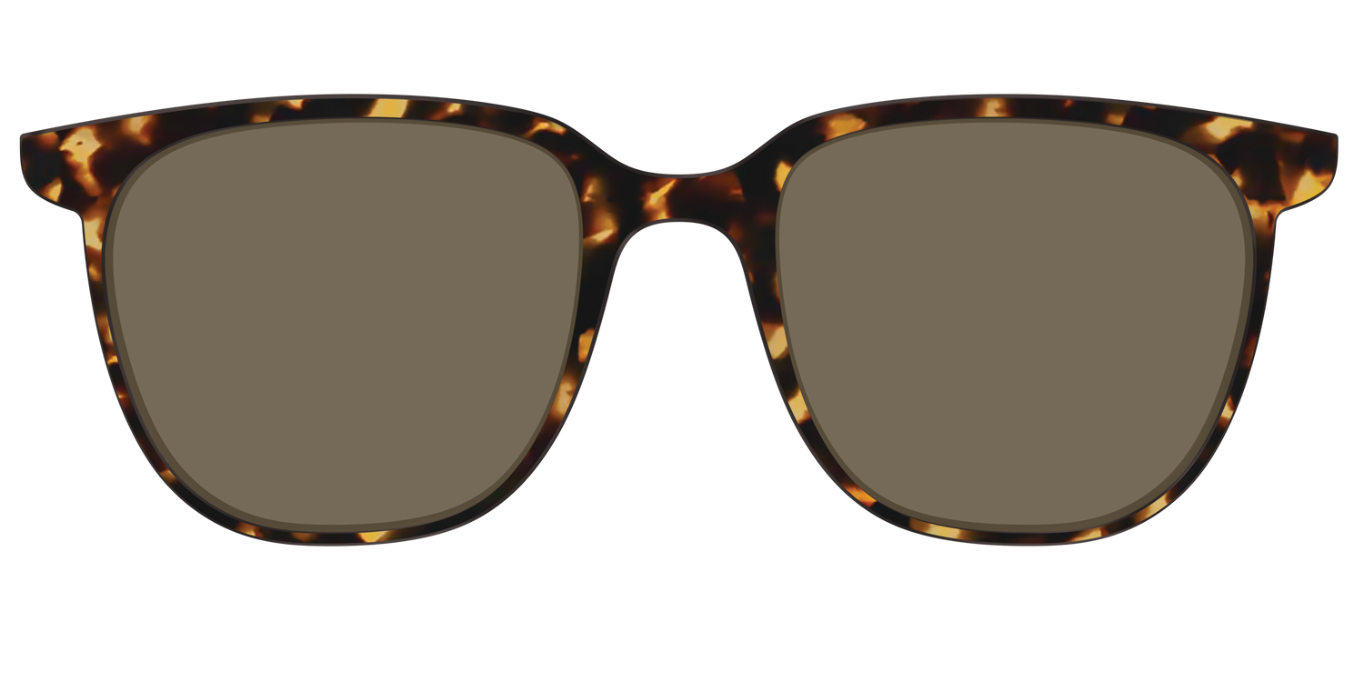 The Non-Polarized Tortoise Sun Top - Front Top Image - Pair Eyewear