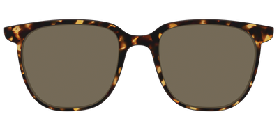 The Non-Polarized Tortoise Sun Top - Front Top Thumbnail - Pair Eyewear