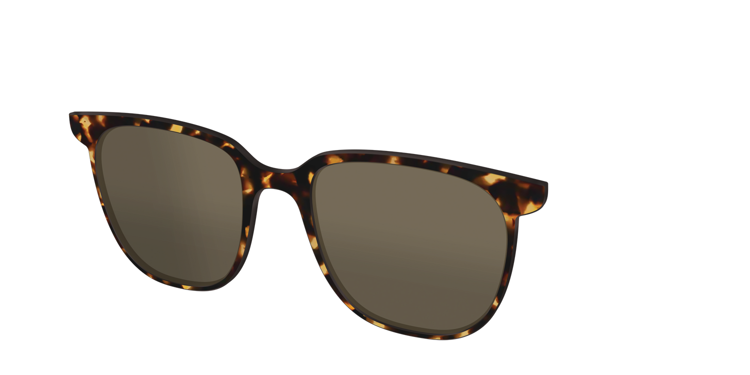 The Non-Polarized Tortoise Sun Top - Angle Top Image - Pair Eyewear