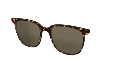 The Non-Polarized Tortoise Sun Top - Angle Top Thumbnail - Pair Eyewear