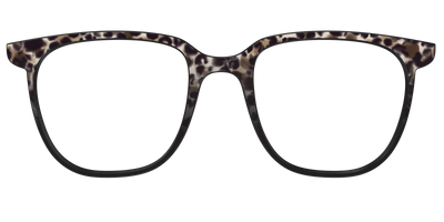 The Party Animal Tortoise - Front Top Thumbnail - Pair Eyewear