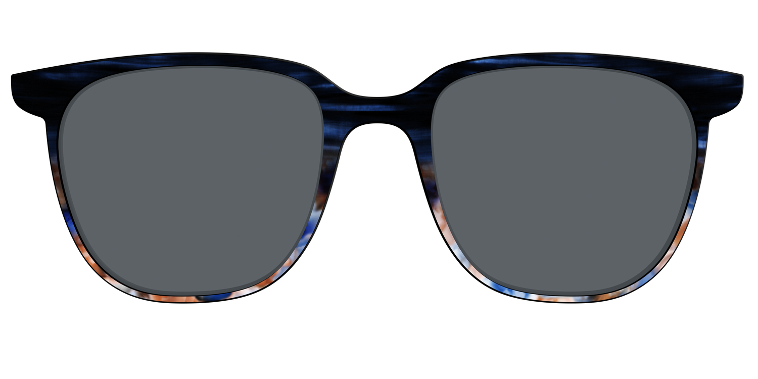 The Polarized Blue Horn Tortoise Sun Top - Front Top Image - Pair Eyewear