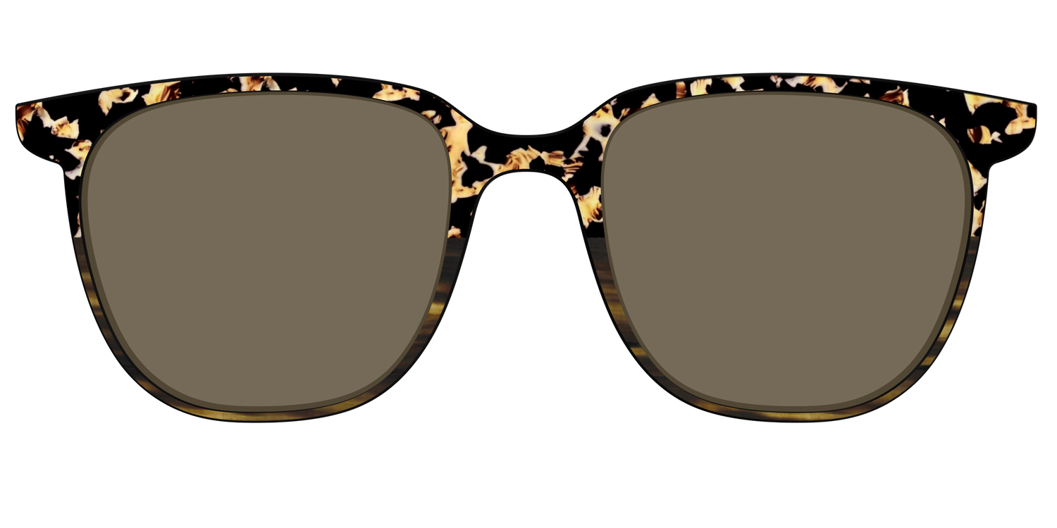 The Polarized Caramel Tortoise Horn Split Sun Top - Front Top Image - Pair Eyewear