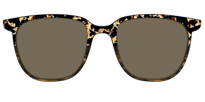 The Polarized Caramel Tortoise Horn Split Sun Top - Front Top Thumbnail - Pair Eyewear