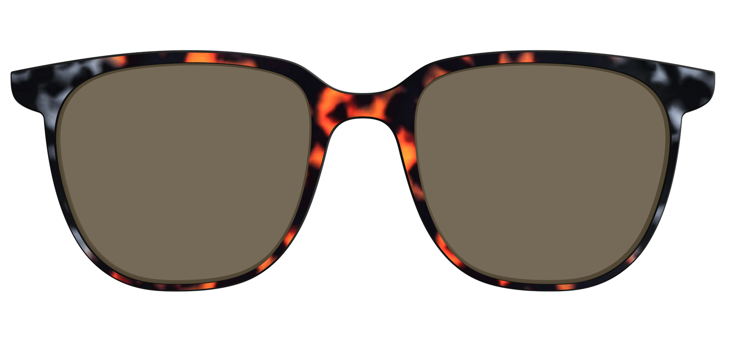 The Polarized Gray & Amber Tortoise Sun Top - Front Top Image - Pair Eyewear