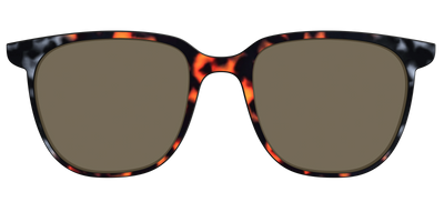 The Polarized Gray & Amber Tortoise Sun Top - Front Top Thumbnail - Pair Eyewear