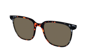 The Polarized Gray & Amber Tortoise Sun Top - Angle Top Thumbnail - Pair Eyewear