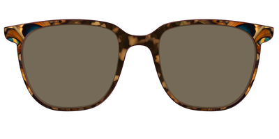 The Polarized Moth Wings Sun Top - Front Top Thumbnail - Pair Eyewear