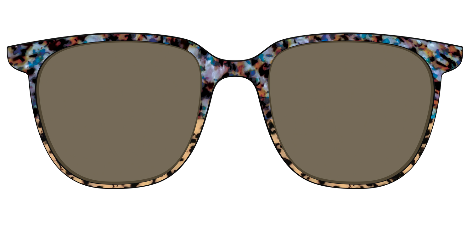 The Polarized Oasis Tortoise Split Sun Top - Front Top Image - Pair Eyewear