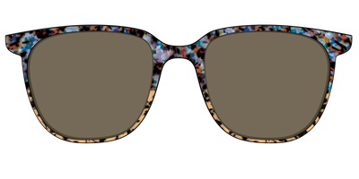 The Polarized Oasis Tortoise Split Sun Top - Front Top Thumbnail - Pair Eyewear