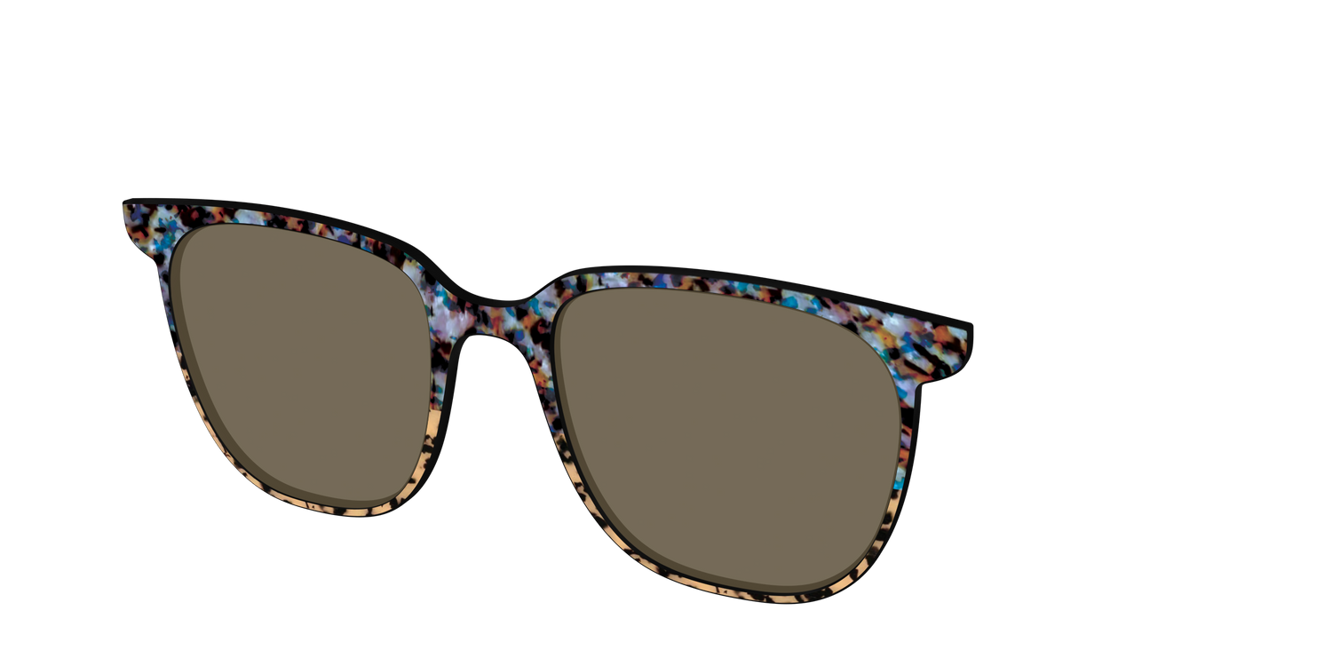 The Polarized Oasis Tortoise Split Sun Top - Angle Top Image - Pair Eyewear