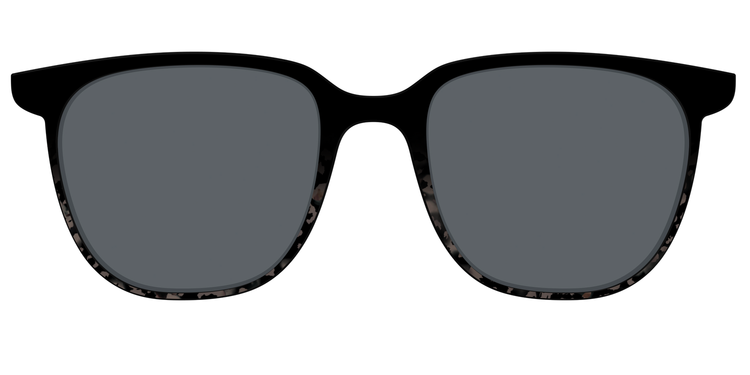 The Polarized Shaded Tortoise Sun Top - Front Top Image - Pair Eyewear