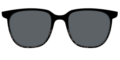 The Polarized Shaded Tortoise Sun Top - Front Top Thumbnail - Pair Eyewear
