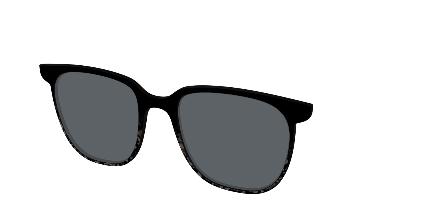 The Polarized Shaded Tortoise Sun Top - Angle Top Image - Pair Eyewear