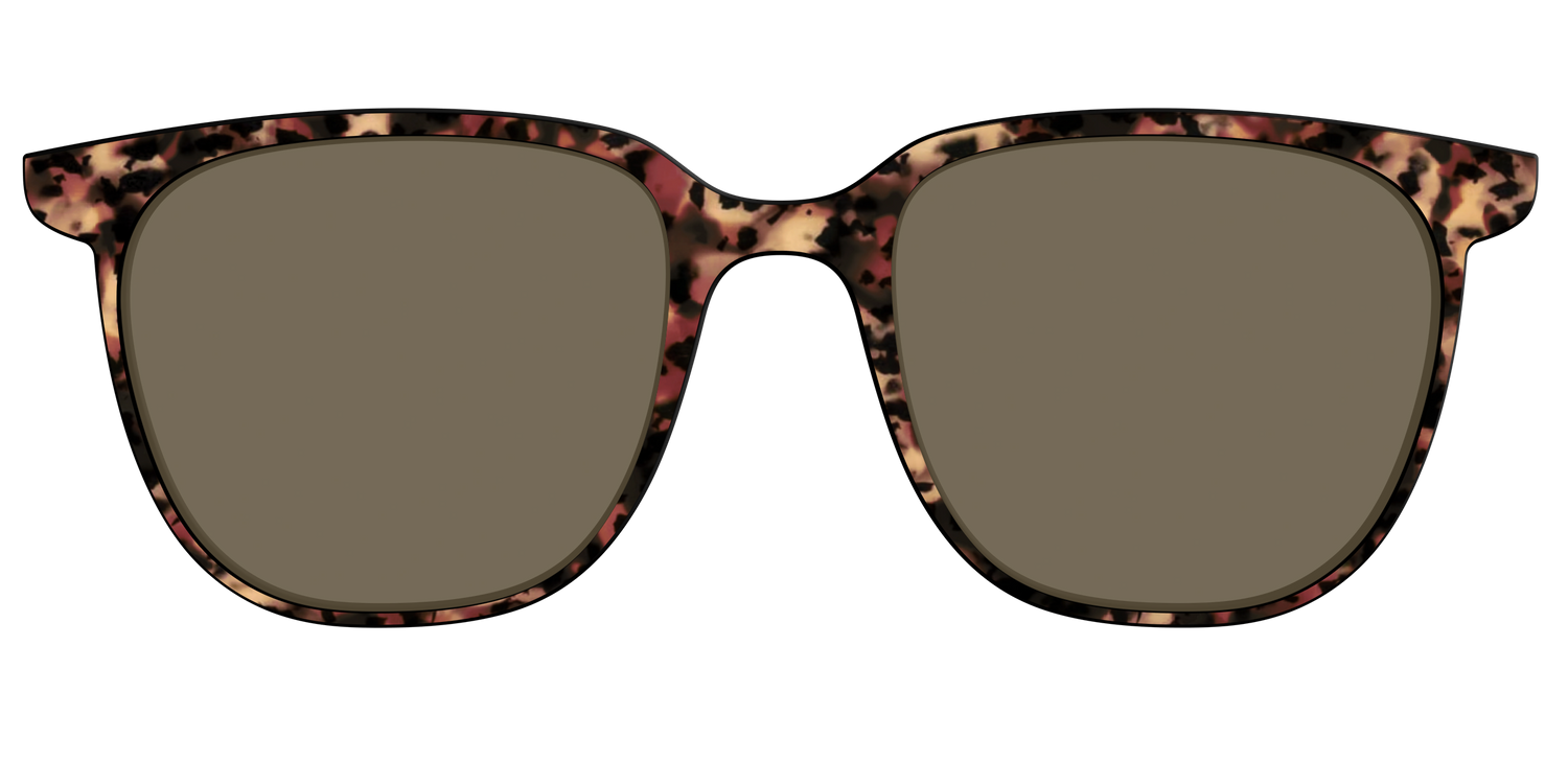 The Polarized Sienna Tortoise Sun Top - Front Top Image - Pair Eyewear
