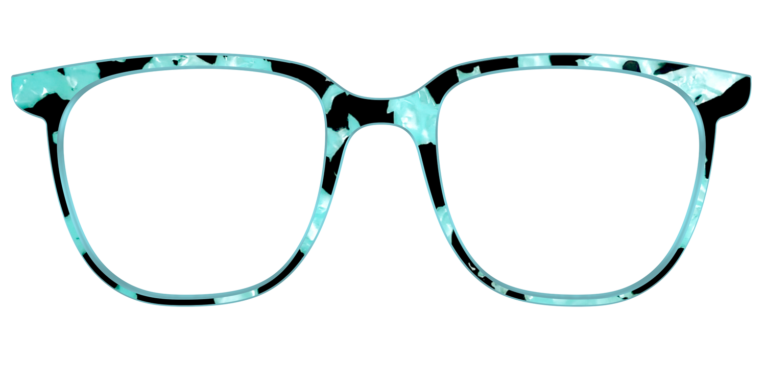 The Robin's Egg Pearl Tortoise - Front Top Image - Pair Eyewear