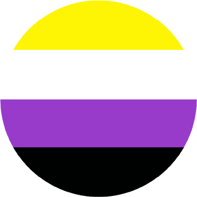 The Non-Binary Flag