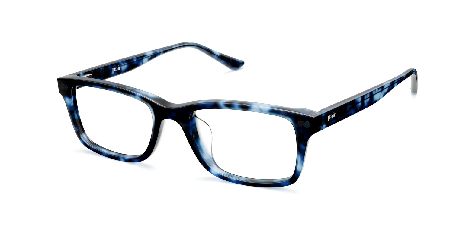 blue tortoise