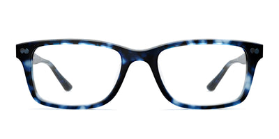 blue tortoise