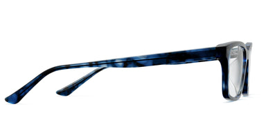 blue tortoise