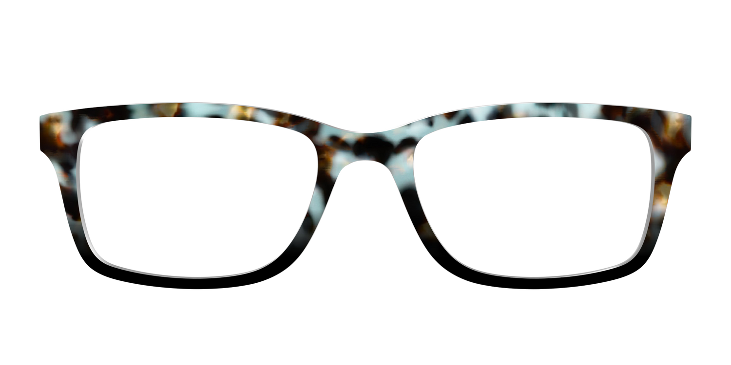 The Academic Tortoise - Front Top Image - Pair Eyewear