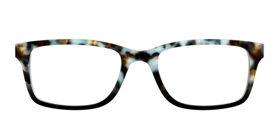 The Academic Tortoise - Front Top Thumbnail - Pair Eyewear