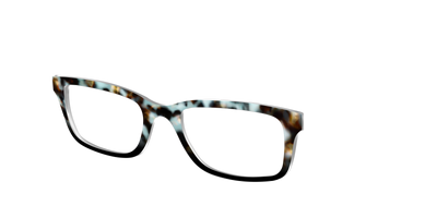 The Academic Tortoise - Angle Top Thumbnail - Pair Eyewear