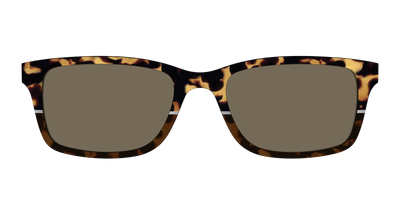 The Polarized Chic Tortoise Split Sun Top - Front Top Thumbnail - Pair Eyewear