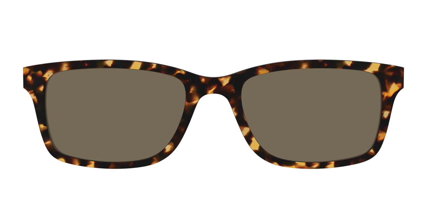 The Non-Polarized Tortoise Sun Top - Front Top Image - Pair Eyewear