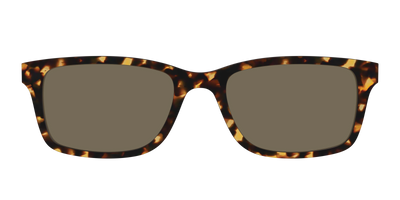 The Non-Polarized Tortoise Sun Top - Front Top Thumbnail - Pair Eyewear