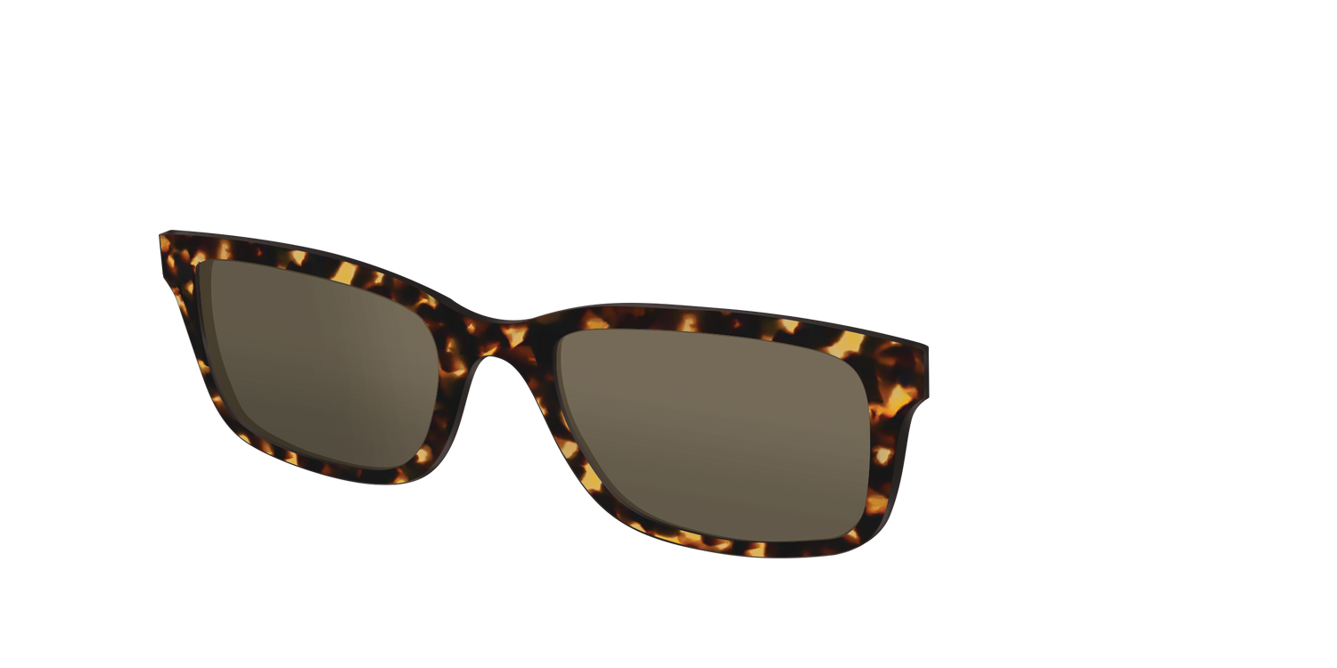 The Non-Polarized Tortoise Sun Top - Angle Top Image - Pair Eyewear