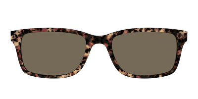 The Polarized Sienna Tortoise Sun Top - Front Top Thumbnail - Pair Eyewear