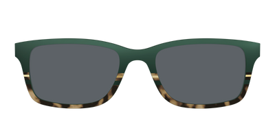 The Polarized Spruce Tortoise Sun Top - Front Top Thumbnail - Pair Eyewear