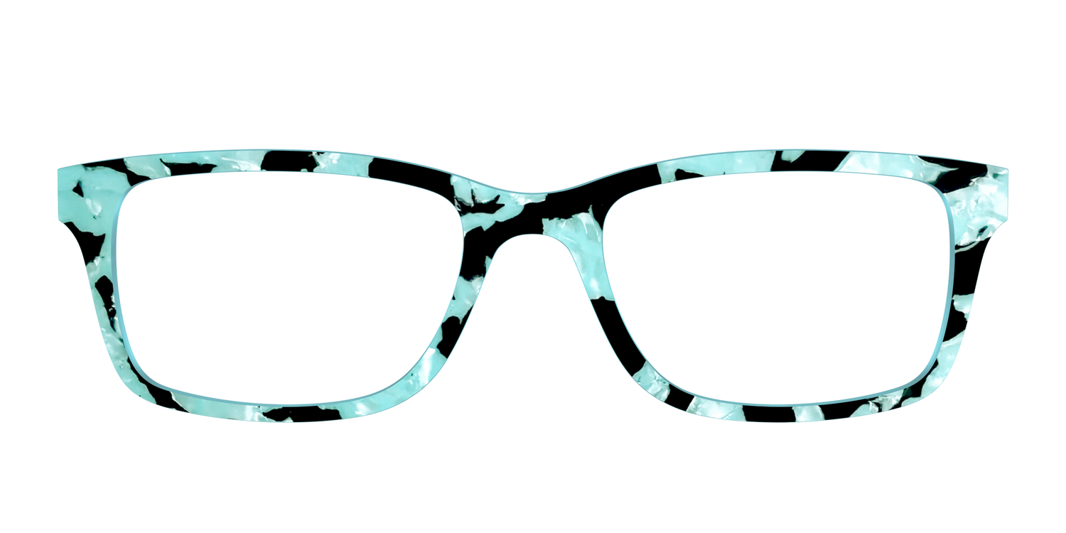 The Robin's Egg Pearl Tortoise - Front Top Image - Pair Eyewear