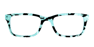 The Robin's Egg Pearl Tortoise - Front Top Thumbnail - Pair Eyewear