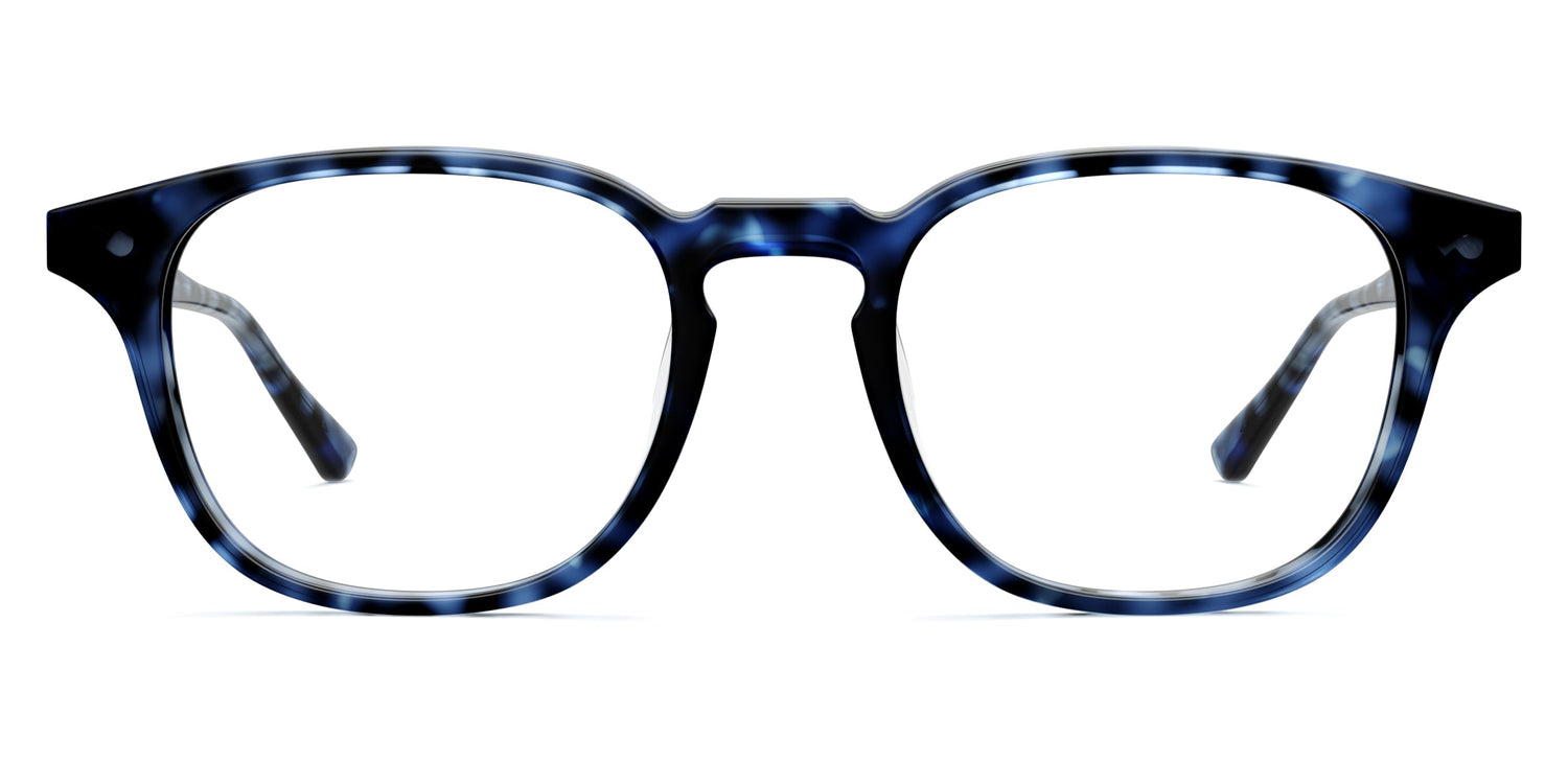 blue tortoise