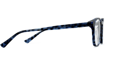 blue tortoise