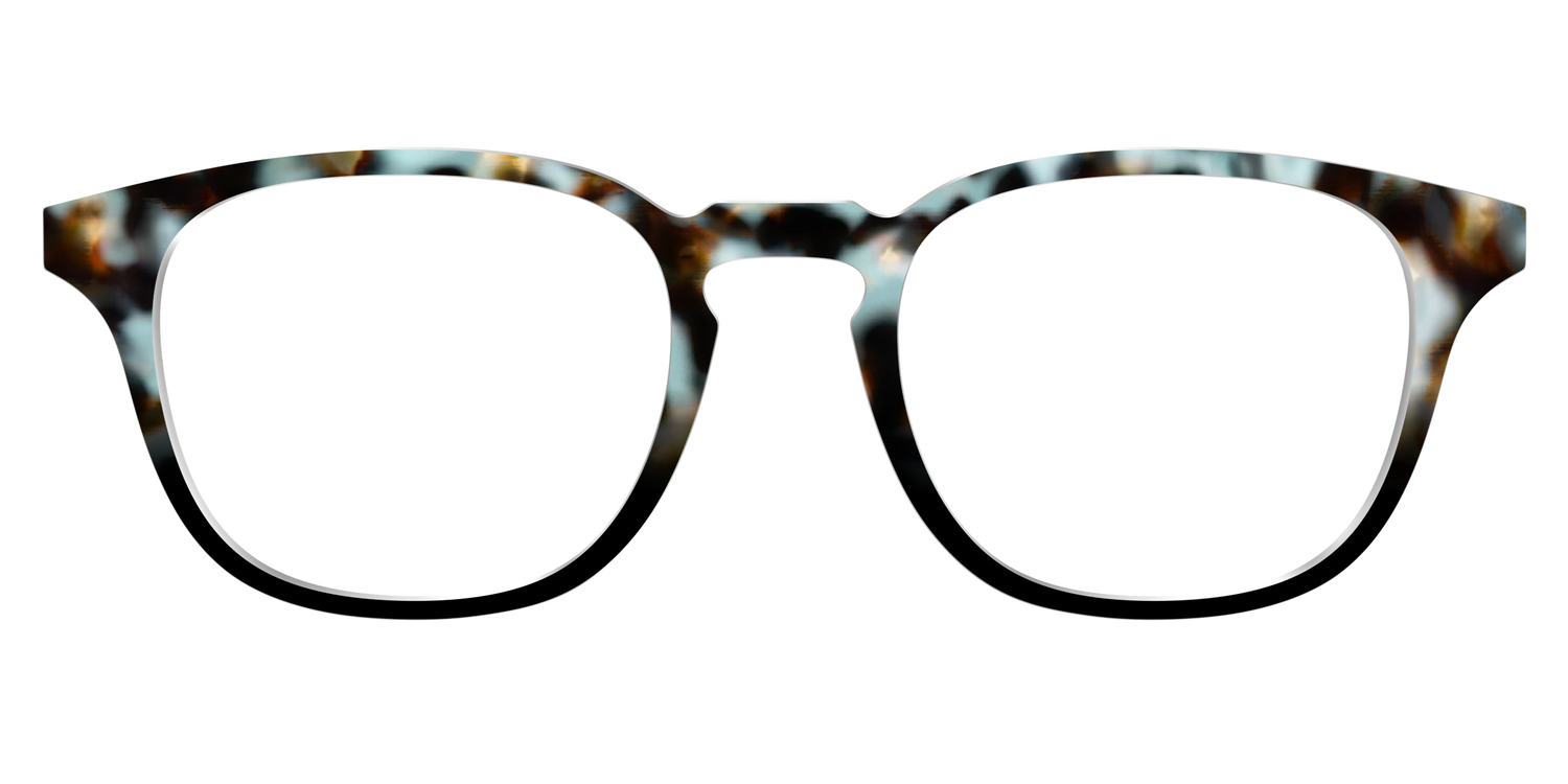 The Academic Tortoise - Front Top Image - Pair Eyewear