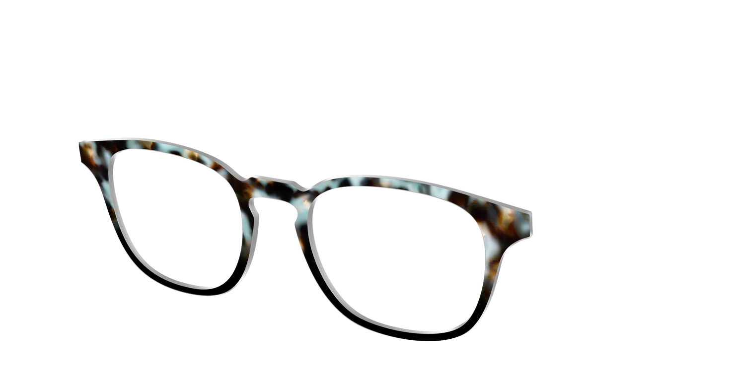 The Academic Tortoise - Angle Top Image - Pair Eyewear