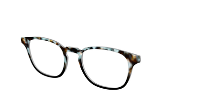 The Academic Tortoise - Angle Top Thumbnail - Pair Eyewear