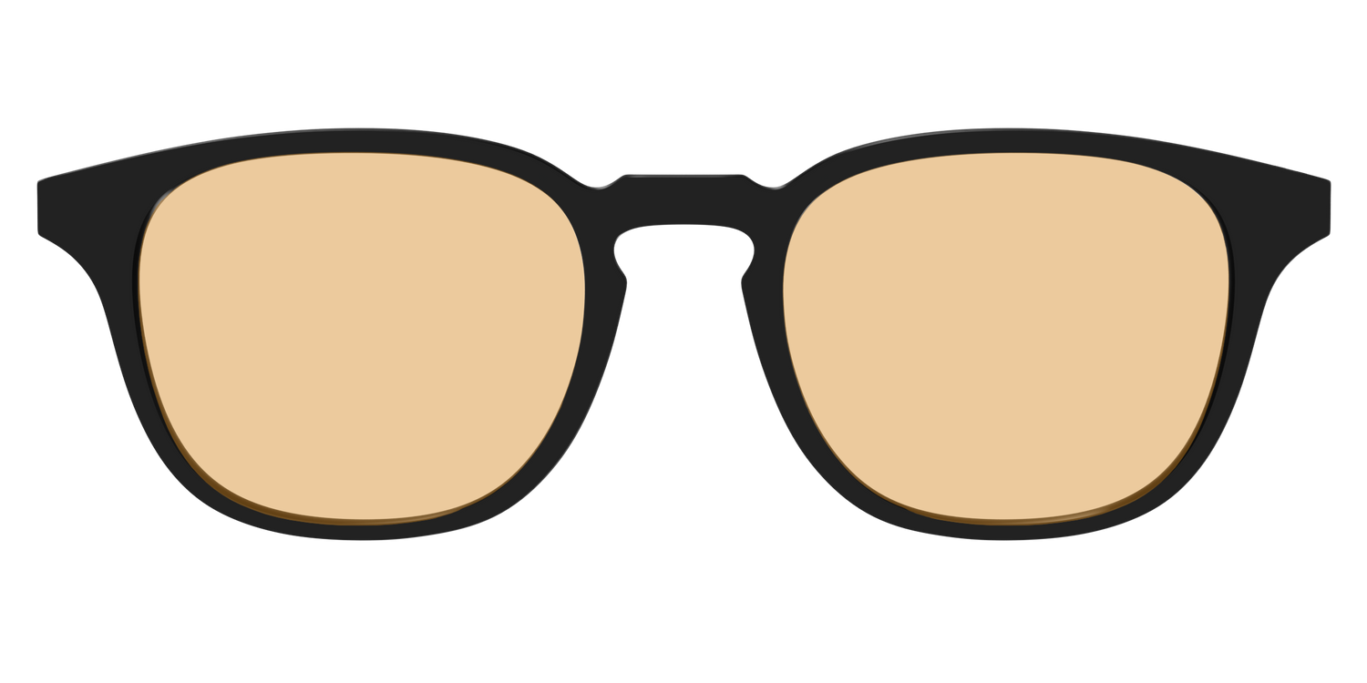 The Black With Umber Brown Lens - Front Top Image - Pair Eyewear