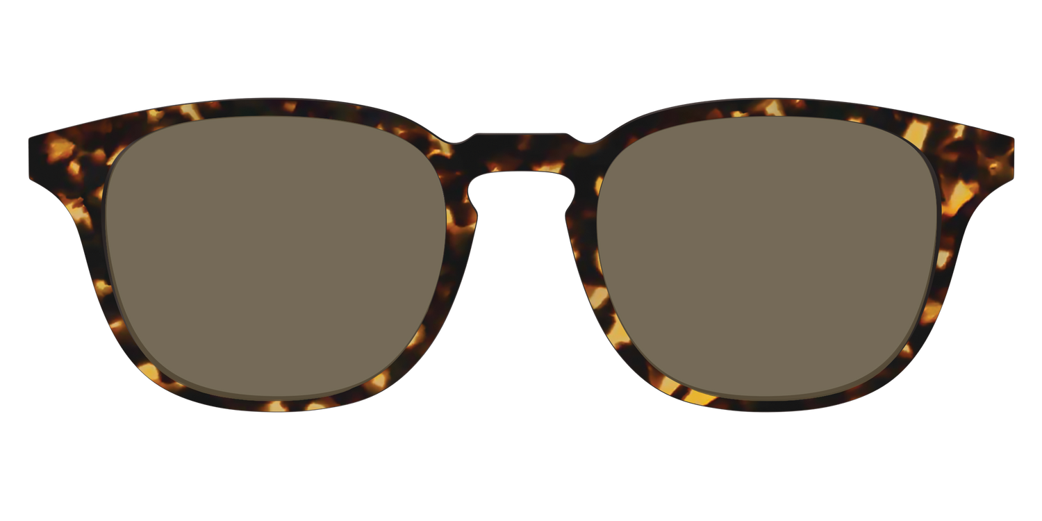 The Non-Polarized Tortoise Sun Top - Front Top Image - Pair Eyewear