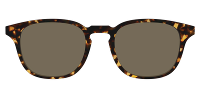 The Non-Polarized Tortoise Sun Top - Front Top Thumbnail - Pair Eyewear