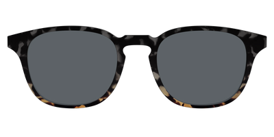 The Polarized Shadow Tortoise Sun Top - Front Top Thumbnail - Pair Eyewear