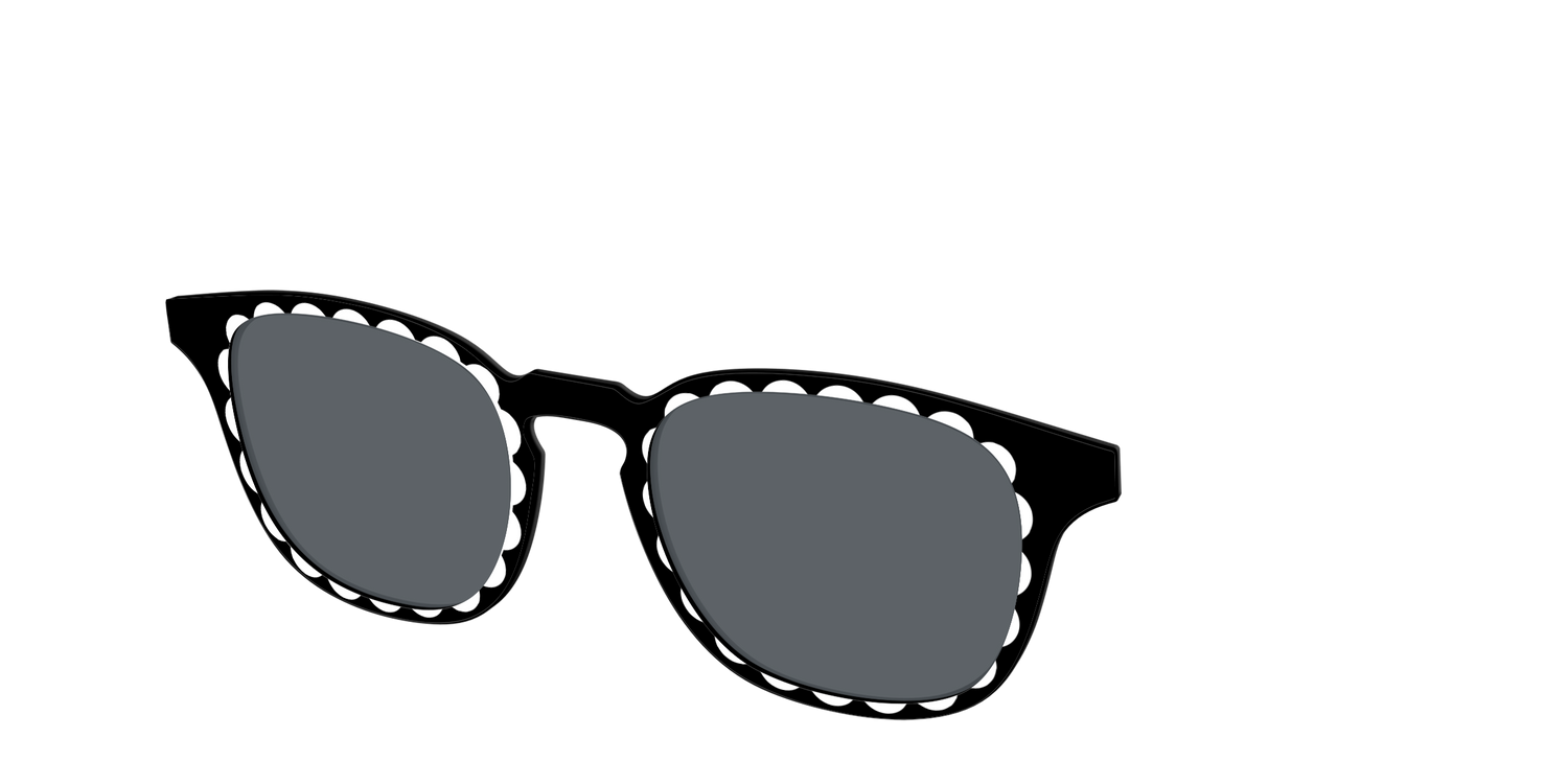 The Polarized Stylish Daisy Sun Top - Angle Top Image - Pair Eyewear